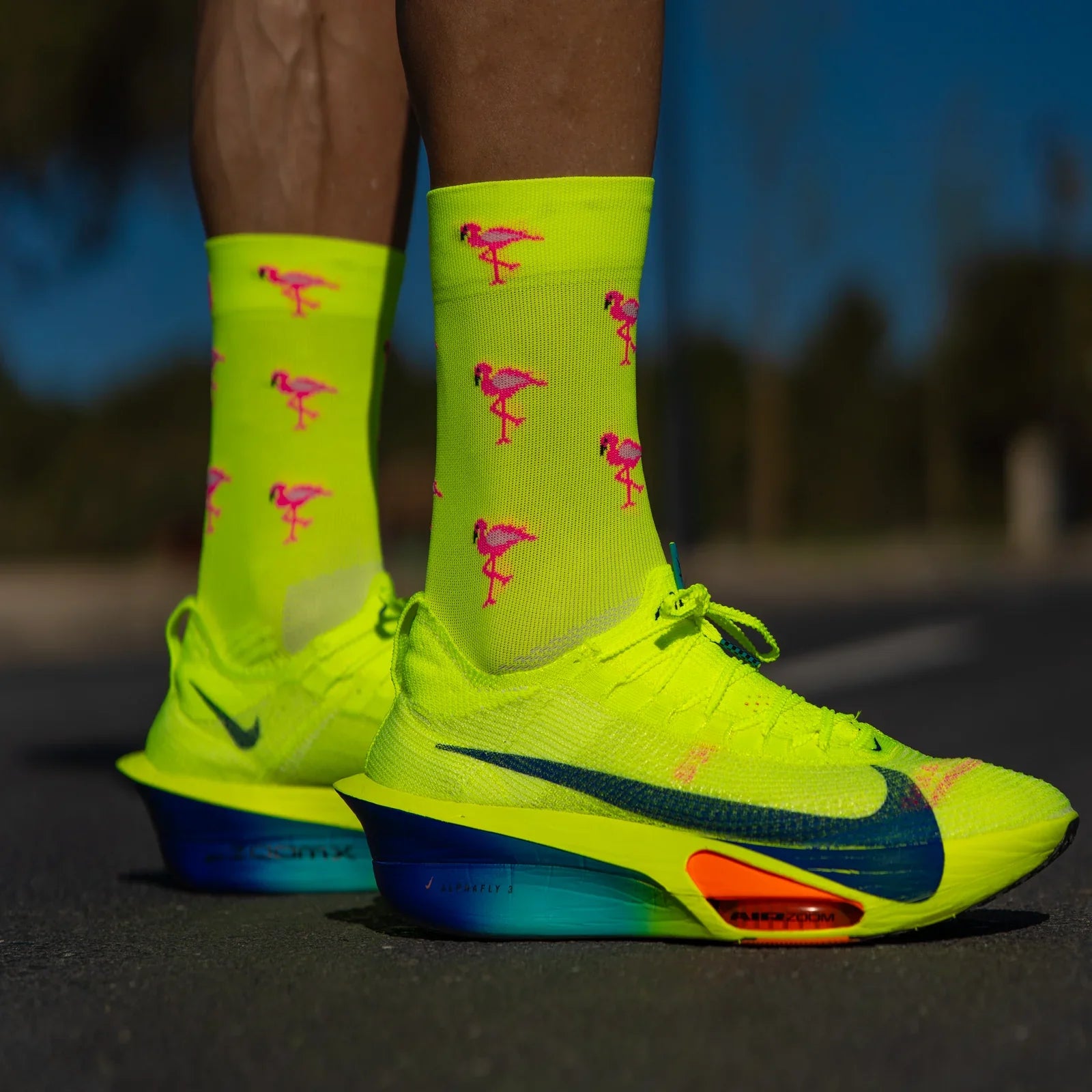 Flamingo – Running Socks
